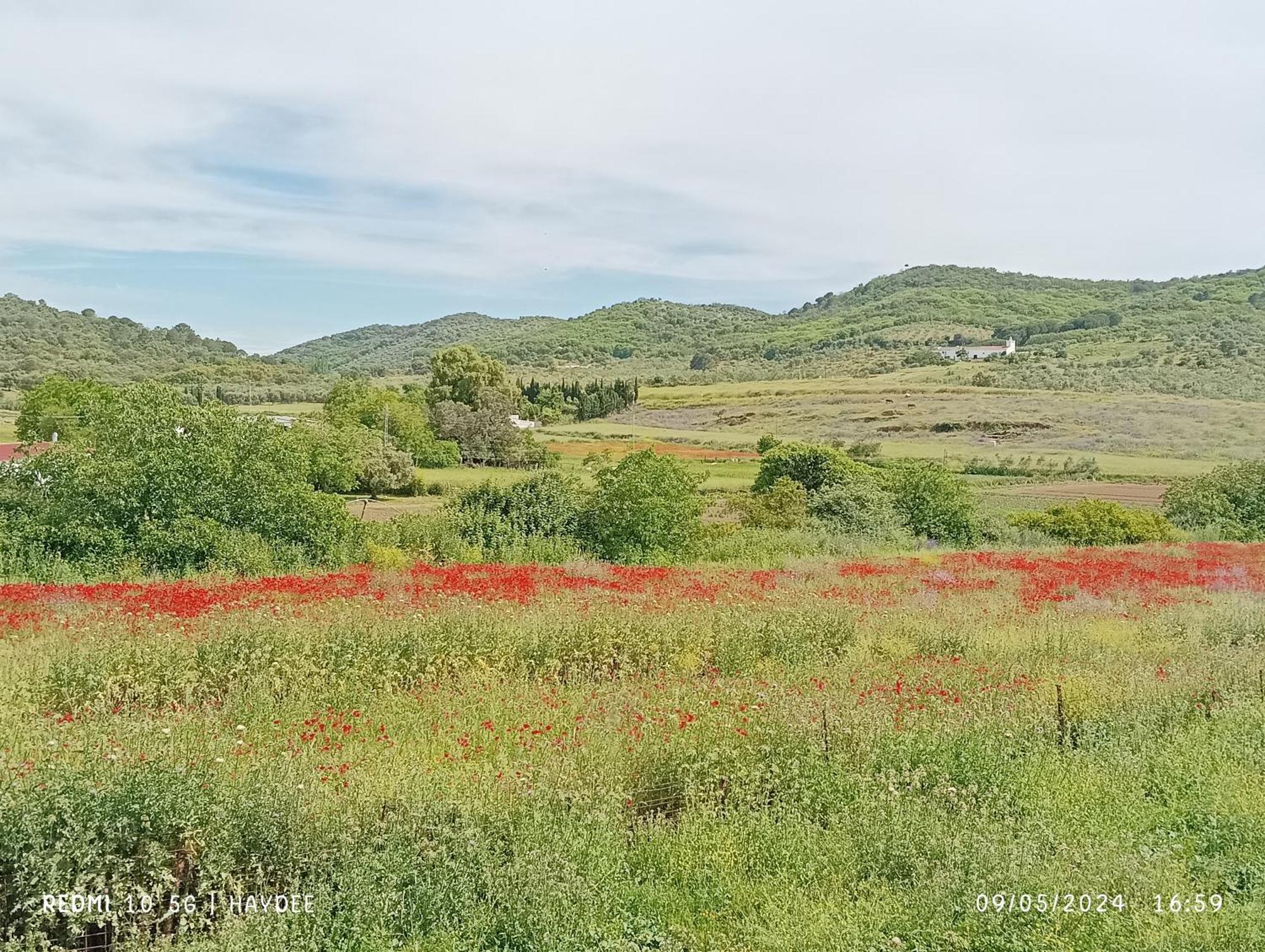 Casa El Azahin Guest House Касала де ла Сиера Стая снимка